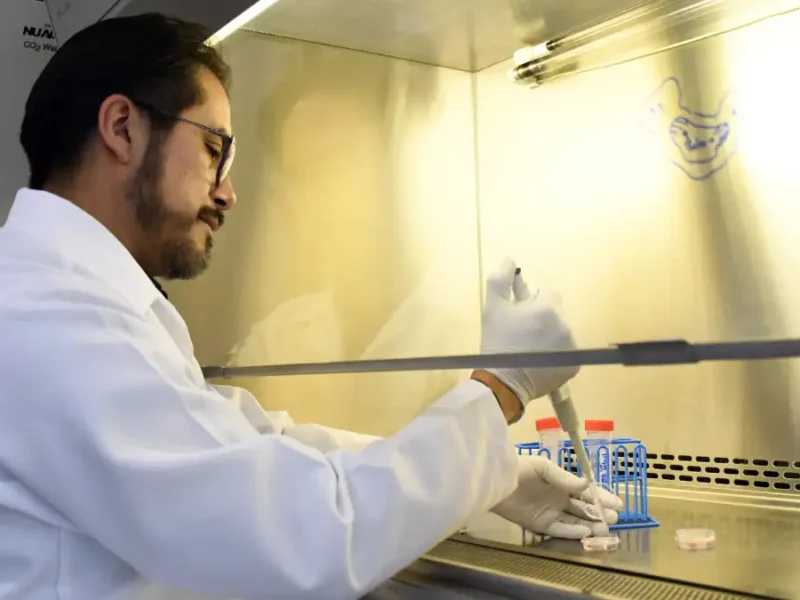 En el Instituto de Fisiología reside uno de los pocos grupos del país que estudia la relación estructura-función en las células cardiacas