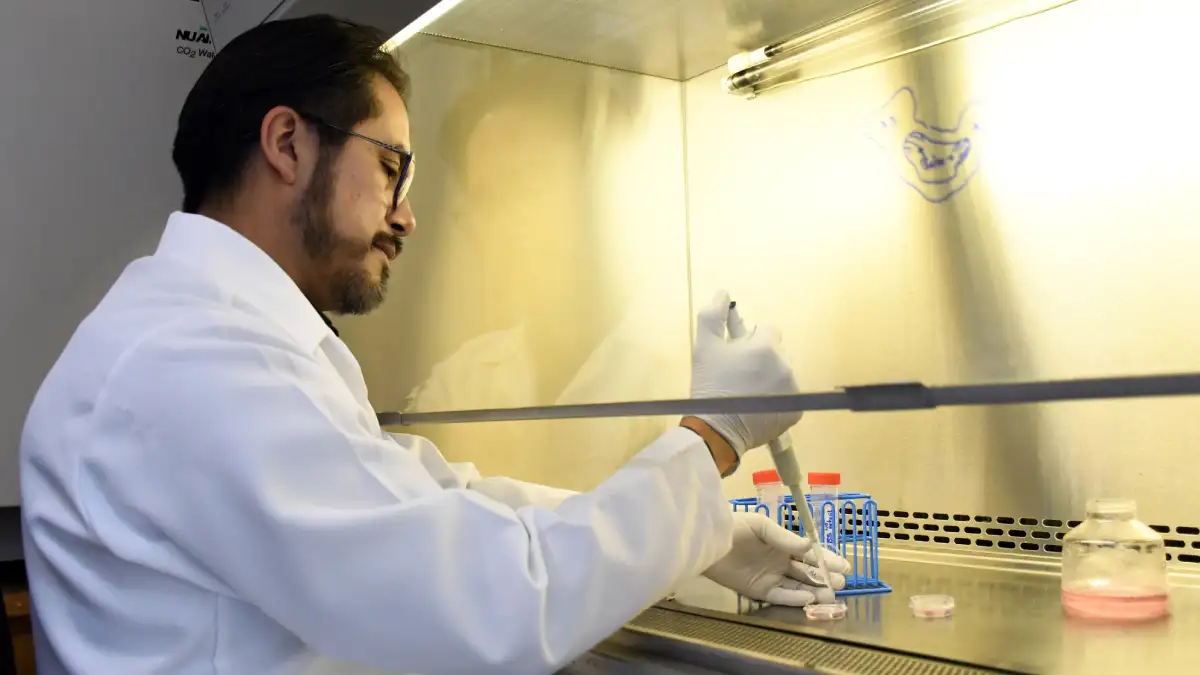 En el Instituto de Fisiología reside uno de los pocos grupos del país que estudia la relación estructura-función en las células cardiacas