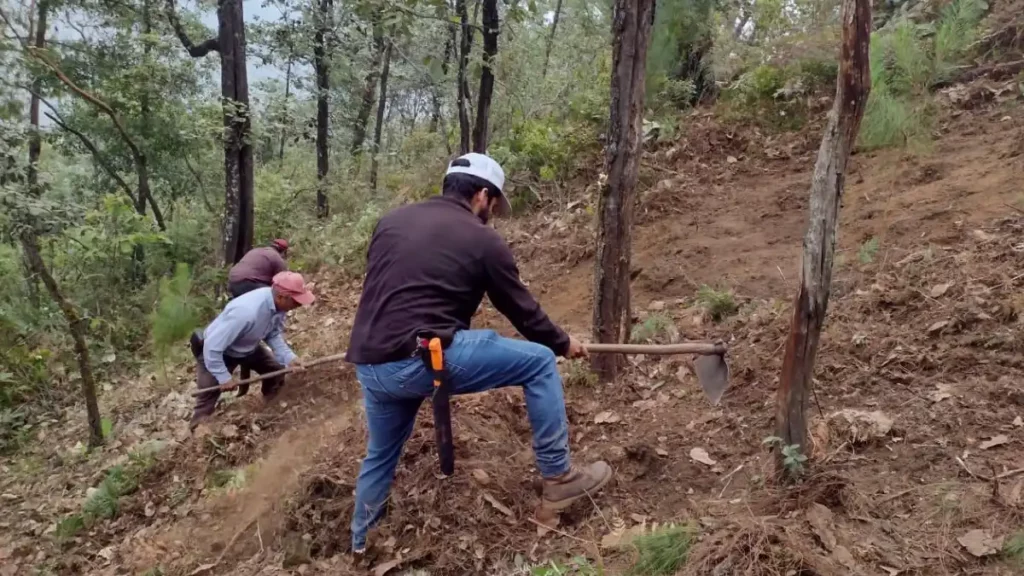 Ayuntamiento de Zacatlán imparte talleres previos al Proyecto de Reforestación Estratégica Integral