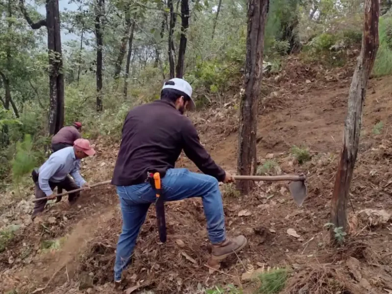 Ayuntamiento de Zacatlán imparte talleres previos al Proyecto de Reforestación Estratégica Integral