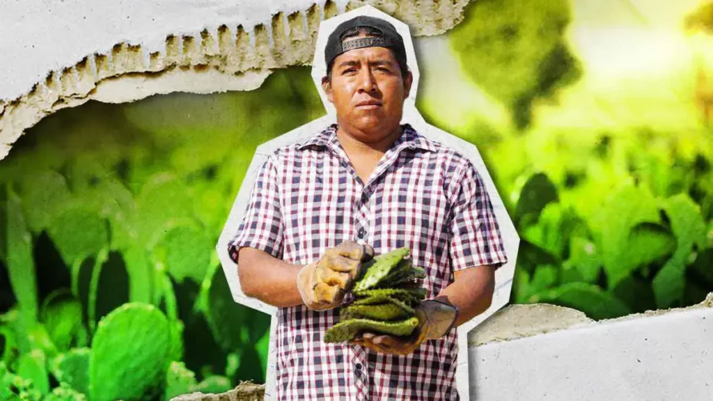 Cultura, tradición y sabor en la Feria del Nopal de Tlaxcalancingo 2025 