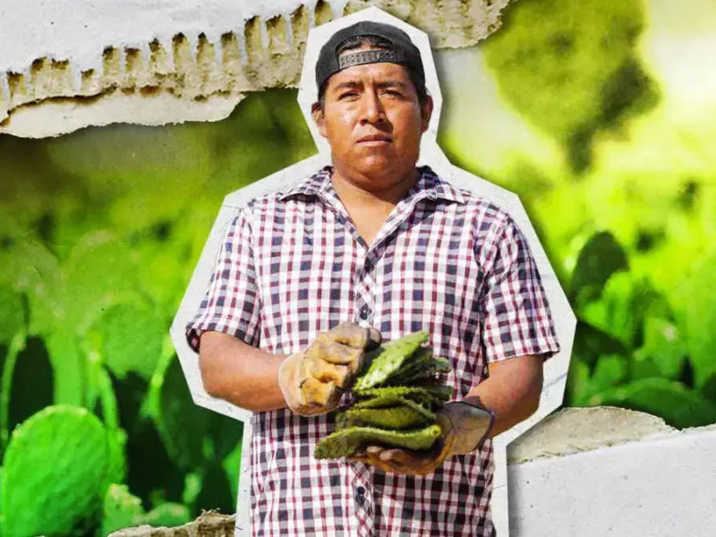 Cultura, tradición y sabor en la Feria del Nopal de Tlaxcalancingo 2025 