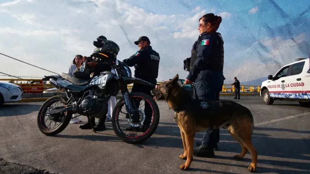 Tras Operativo Centinela, remiten al corralón 295 vehículos en Puebla 