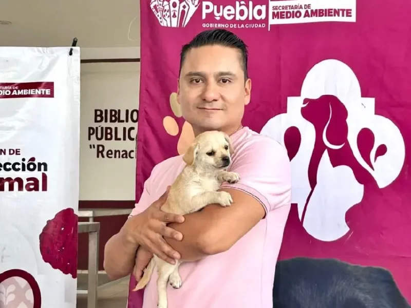 Prioriza Gobierno de la Ciudad acciones en favor del bienestar animal