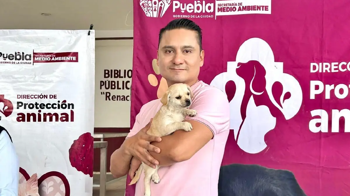 Prioriza Gobierno de la Ciudad acciones en favor del bienestar animal