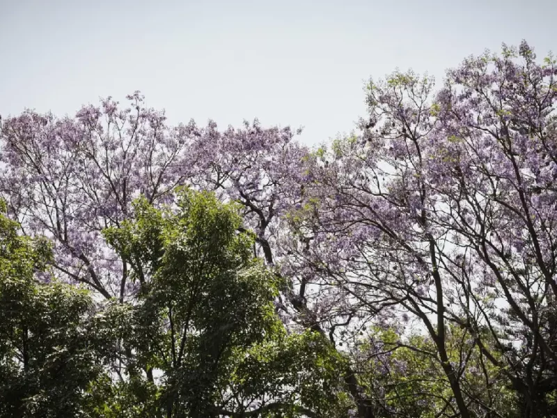 Exhorta Gobierno de la Ciudad tomar precauciones ante altas temperaturas para prevenir golpes de calor