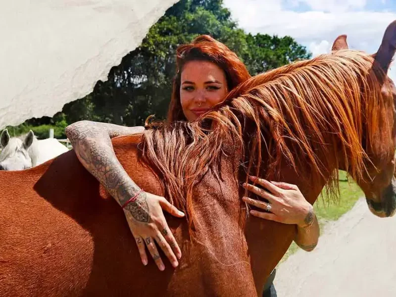 Cuacolandia, el santuario para caballos de Elena Larrea, cambia de sede
