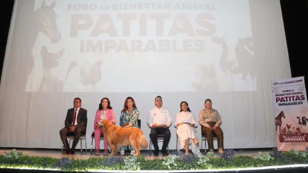 Por el bienestar animal el Gobierno de la Ciudad realizó el foro participativo "Patitas Imparables"