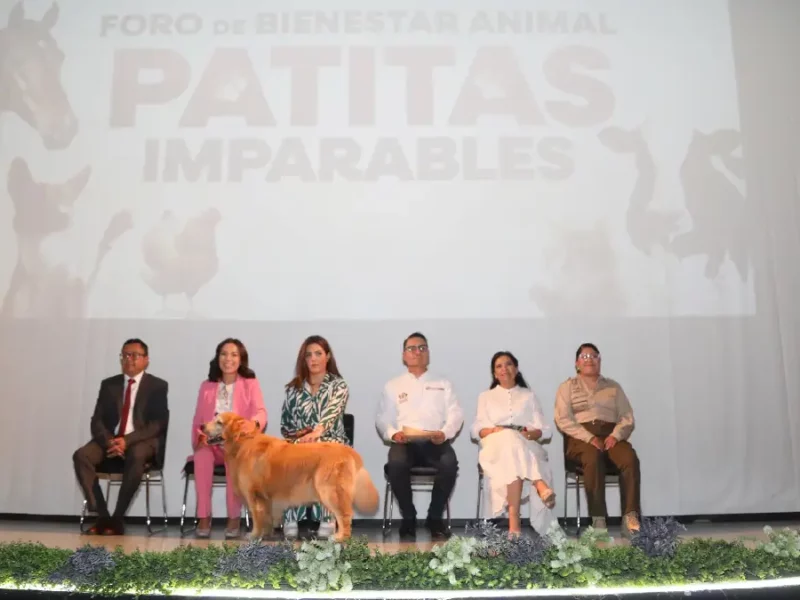 Por el bienestar animal el Gobierno de la Ciudad realizó el foro participativo "Patitas Imparables"
