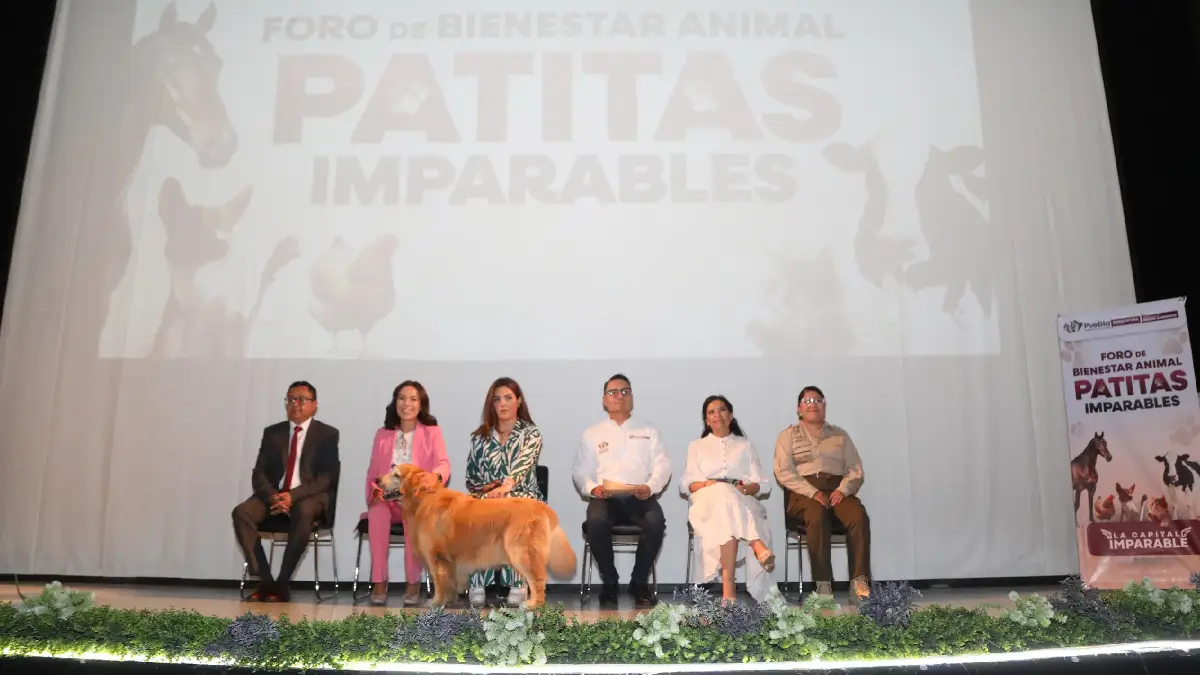 Por el bienestar animal el Gobierno de la Ciudad realizó el foro participativo "Patitas Imparables"