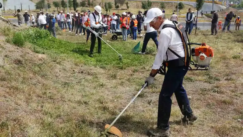 Trabajador es atacado por avispas en Faena Comunitaria del Río Atoyac 
