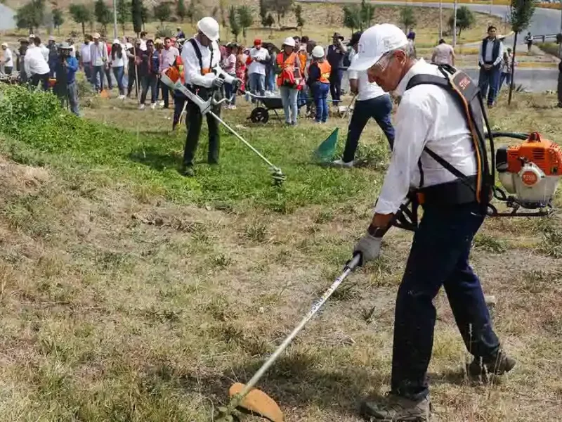 Trabajador es atacado por avispas en Faena Comunitaria del Río Atoyac 