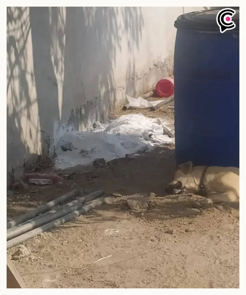 Adulto mayor acosa a joven, apuñala a hombre y ostenta historial de maltrato animal en Puebla