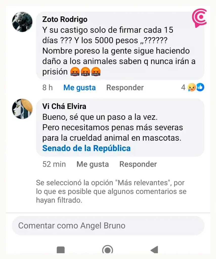 Hombre es sancionado con cinco mil pesos tras atacar a perrita con machete en Zacapoaxtla