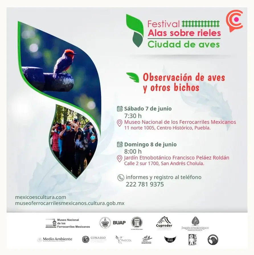Estos son los eventos en Puebla para conmemorar el Día Mundial del Medio Ambiente  