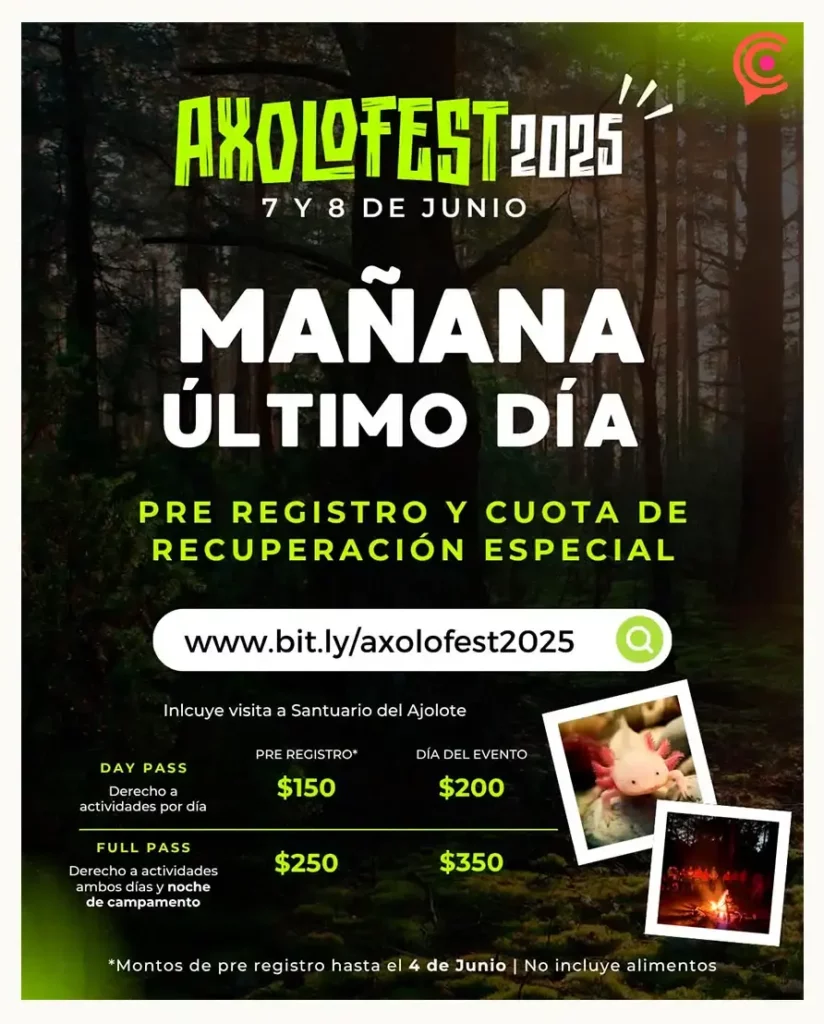Estos son los eventos en Puebla para conmemorar el Día Mundial del Medio Ambiente  