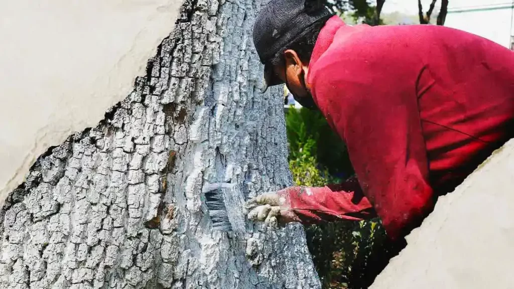 Encalado de árboles en zonas urbanas de Puebla no es funcional: Igavim 