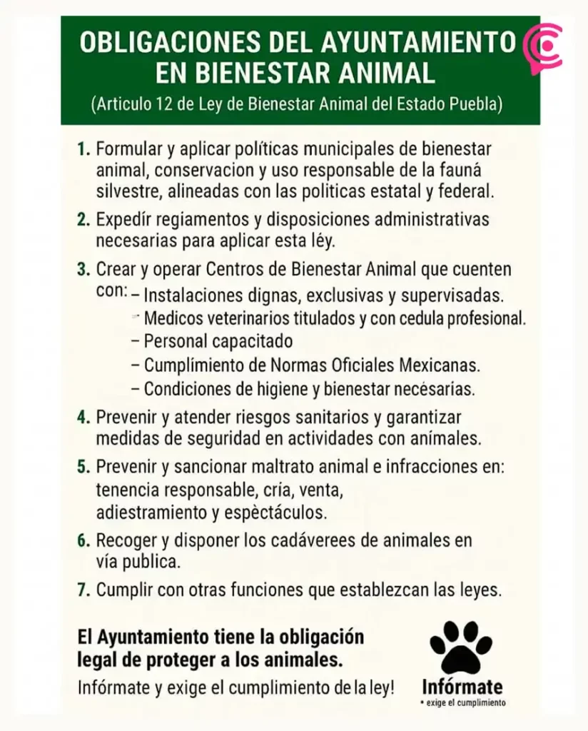Colectivo TAC denuncia al Gobierno de Tehuacán por censura, represión y misoginia