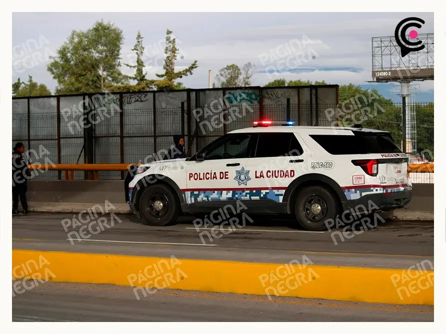 Patrulla de la policía municipal