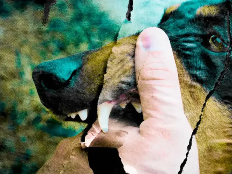 Atención hospitalaria por ataques de animales aumentó en Puebla durante el 2024