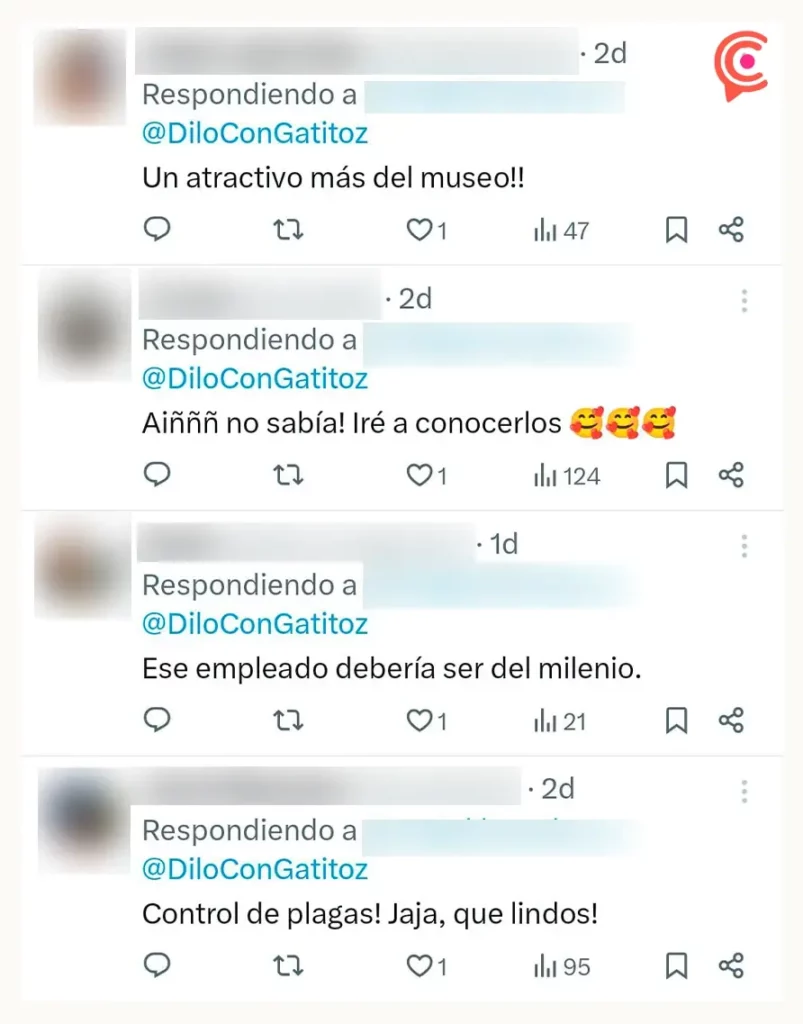 Conoce a Miztli y Aruma, los gatos guardianes del Museo Regional de Cholula Al dar inició a estas actividades, promovidas por el diputado Andrés Iván Villegas Mendoza, la diputada presidenta de la Junta de Gobierno y Coordinación Política del Congreso del Estado, Laura Artemisa García Chávez destacó que la LXII Legislatura es un medio permanente para apoyar a la ciudadanía en temas fundamentales como la salud de la niñez poblana. “Agradezco a las ponentes el compartir estos conocimientos que son de vital importancia para tomar acciones preventivas en materia de alimentación para el sano desarrollo de las infancias”, señaló la legisladora. En este sentido, el diputado Andrés Iván Villegas Mendoza recordó que esta actividad se llevó a cabo en el marco del Día Internacional de la Nutrición, que se conmemora para generar conciencia en la sociedad sobre la importancia de una alimentación adecuada. Durante la ponencia, la especialista en nutrición pediátrica, Bettsy Romero García abordó el tema sobre los alimentos ultraprocesados y su impacto negativo en la salud infantil, las enfermedades asociadas al consumo desmedido de estos productos, así como las acciones para proteger la salud de la niñez poblana. En este tema hizo énfasis en desarrollar políticas públicas y programas que fomenten la actividad física en la niñez y la adolescencia, así como programas de educación alimentaria obligatoria no solo en las y los estudiantes, sino a padres y madres de familia, y docentes. Asimismo, la nutrióloga especialista en pediatría, Gricelle Serrano Maldonado impartió la conferencia relacionada con las loncheras saludables basadas en una dieta sostenible, donde subrayó la importancia de que éstas cuenten con alimentos que provean a las infancias de la energía y los nutrientes necesarios, con la finalidad de cubrir sus necesidades nutrimentales y mantener adecuados niveles de desempeño físico e intelectual. En este evento también se contó con la presencia de las diputadas Nayeli Salvatori Bojalil, Ana Lilia Tepole Armenta, Fedrha Isabel Suriano Corrales y Cinthya Gabriela Chumacero Rodríguez, así como el diputado Jaime Alejandro Aurioles Barroeta. De igual manera, asistió la titular del Voluntariado del Congreso del Estado, Minerva García Chávez y el Secretario General del Poder Legislativo, Julio Leopoldo de Lara Valera.
