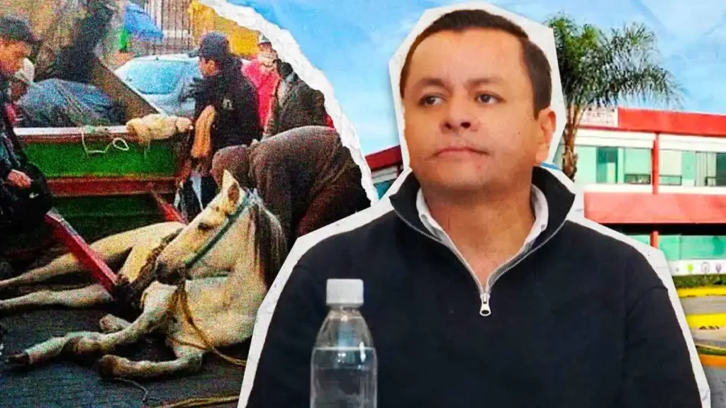 Ayuntamiento de Texmelucan no ha sido notificado sobre el retiro de caballos carretoneros: alcalde