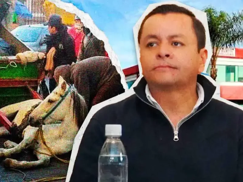 Ayuntamiento de Texmelucan no ha sido notificado sobre el retiro de caballos carretoneros: alcalde