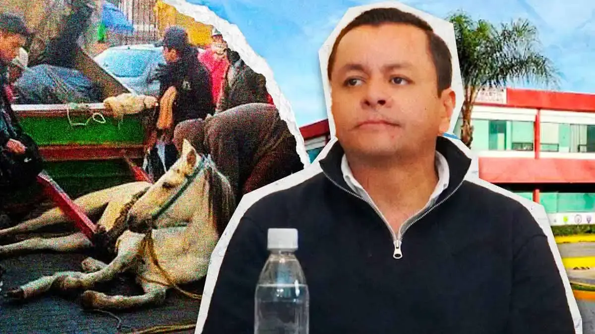 Ayuntamiento de Texmelucan no ha sido notificado sobre el retiro de caballos carretoneros: alcalde