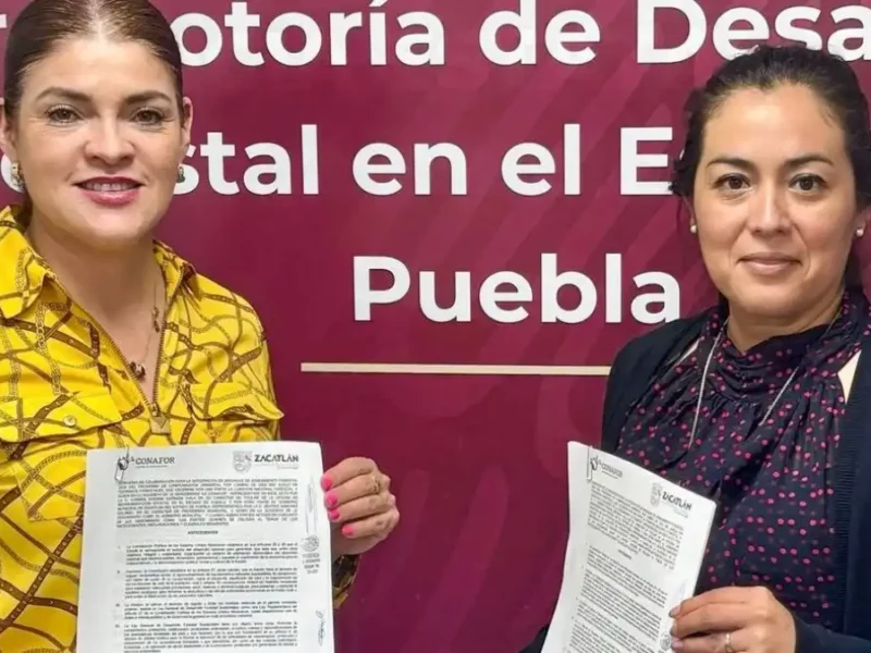 Ayuntamiento de Zacatlán y CONAFOR combatirán plagas forestales
