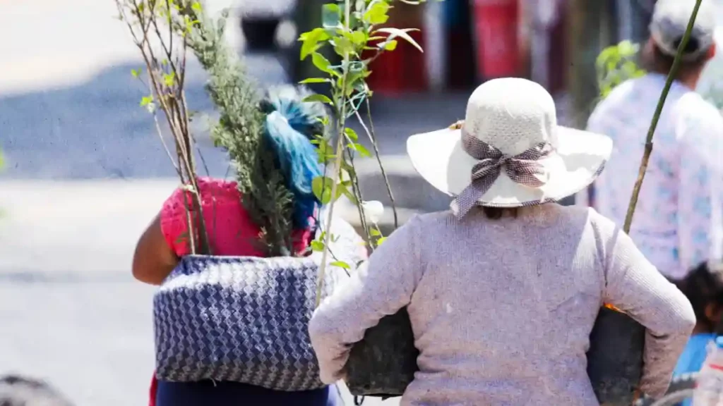 Adoptar un árbol, sembrar conciencia en San Andrés Cholula