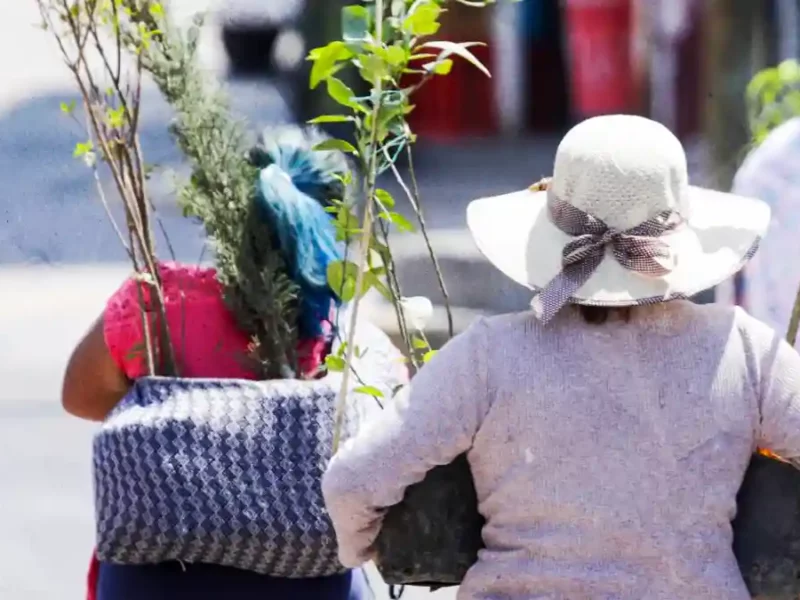 Adoptar un árbol, sembrar conciencia en San Andrés Cholula