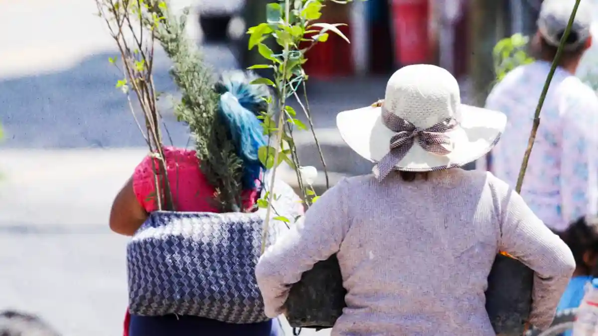 Adoptar un árbol, sembrar conciencia en San Andrés Cholula