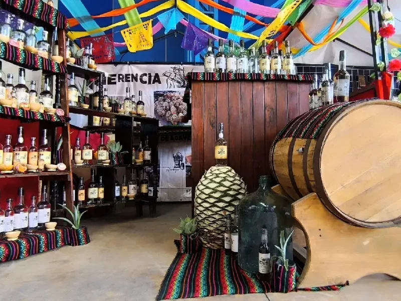 Ariadna Ayala presidenta municipal destaca éxito de la Feria del Mezcal y el Pulque en Atlixco