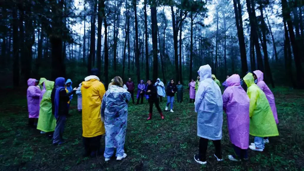 Comienzan las noches mágicas con el avistamiento de luciérnagas en Santa Rita Tlahuapan este 2025