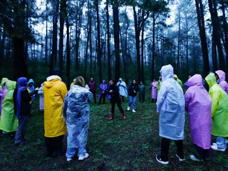 Comienzan las noches mágicas con el avistamiento de luciérnagas en Santa Rita Tlahuapan este 2025