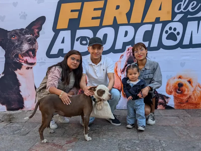 Amor peludo en Atlixco; presidenta Ariadna Ayala invita a abrir tu corazón en la Feria de adopción canica