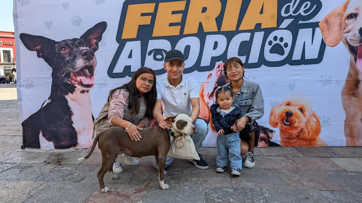 Amor peludo en Atlixco; presidenta Ariadna Ayala invita a abrir tu corazón en la Feria de adopción canica
