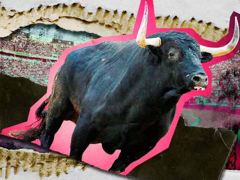 Plaza México suspendió las corridas de toros; declaró “inviable” espectáculo taurino sin violencia