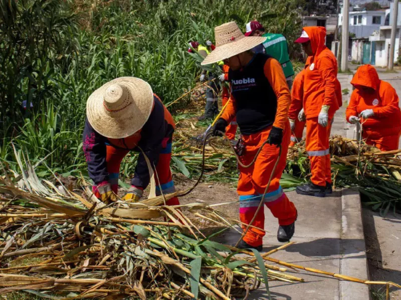 Refuerza Gobierno de la Ciudad acciones de prevención ante la temporada de lluvias con coordinación intergubernamental