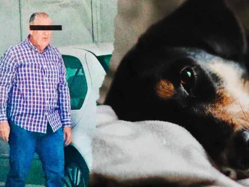 Denuncian asesinato de mascota en fraccionamiento Puebla Blanca de Lomas de Angelópolis