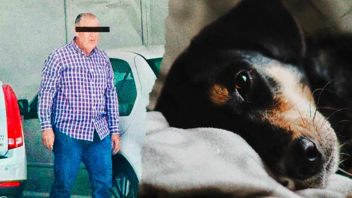 Denuncian asesinato de mascota en fraccionamiento Puebla Blanca de Lomas de Angelópolis