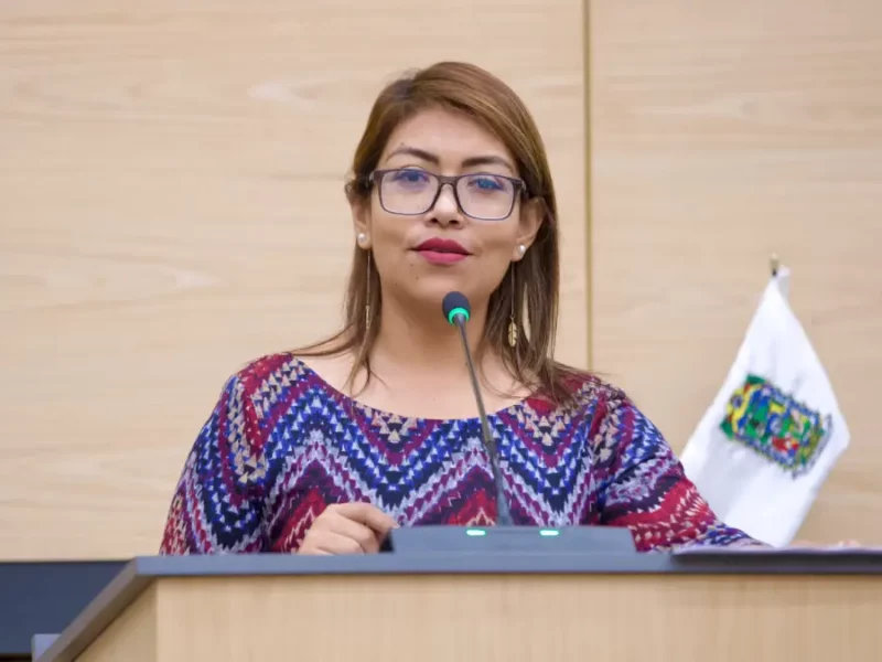 Presentan en Congreso iniciativa para alfabetización digital de adultos mayores