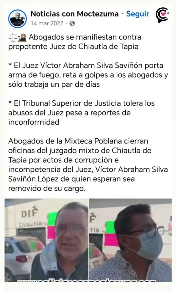 Envenenaron a perros en Chignahuapan; animalistas acusaron a juez de proteger al responsable