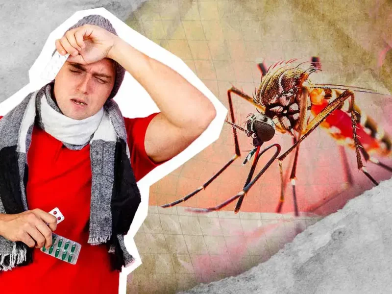 Puebla, onceavo estado con más casos de dengue durante primer semestre 2025 