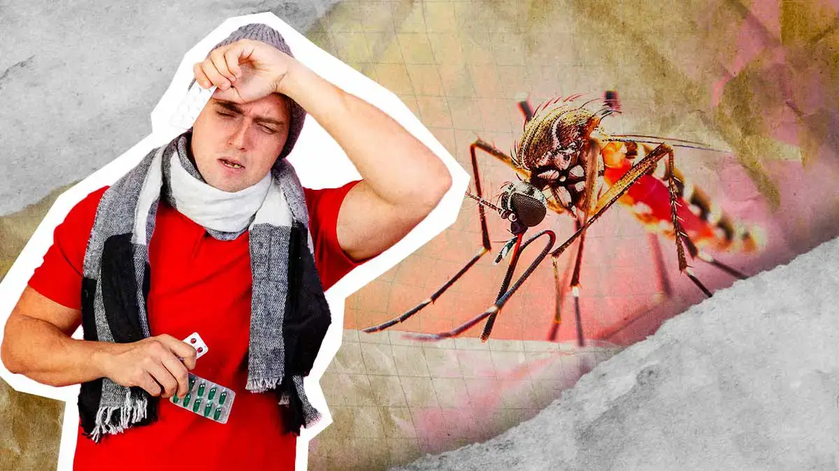 Puebla, onceavo estado con más casos de dengue durante primer semestre 2025