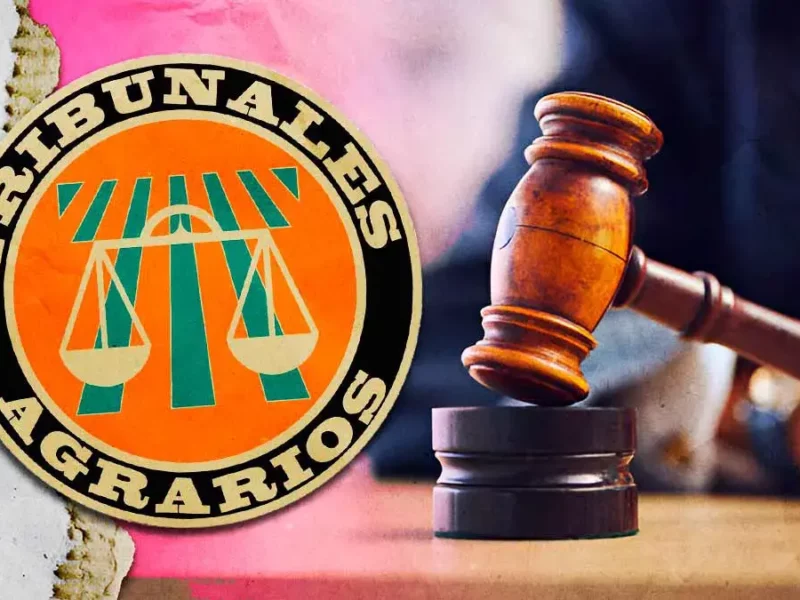 Durante 2024, incrementaron 16% las sentencias en los dos Tribunales Agrarios de Puebla