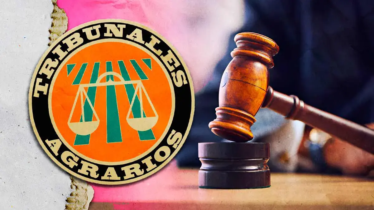 Durante 2024, incrementaron 16% las sentencias en los dos Tribunales Agrarios de Puebla