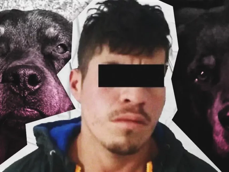 Vinculan a proceso a hombre que envenenó a dos perros en Chignahuapan