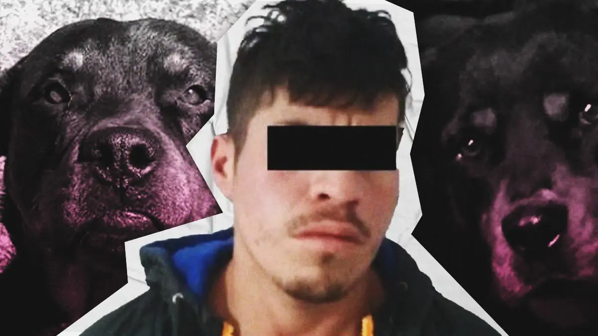 Vinculan a proceso a hombre que envenenó a dos perros en Chignahuapan