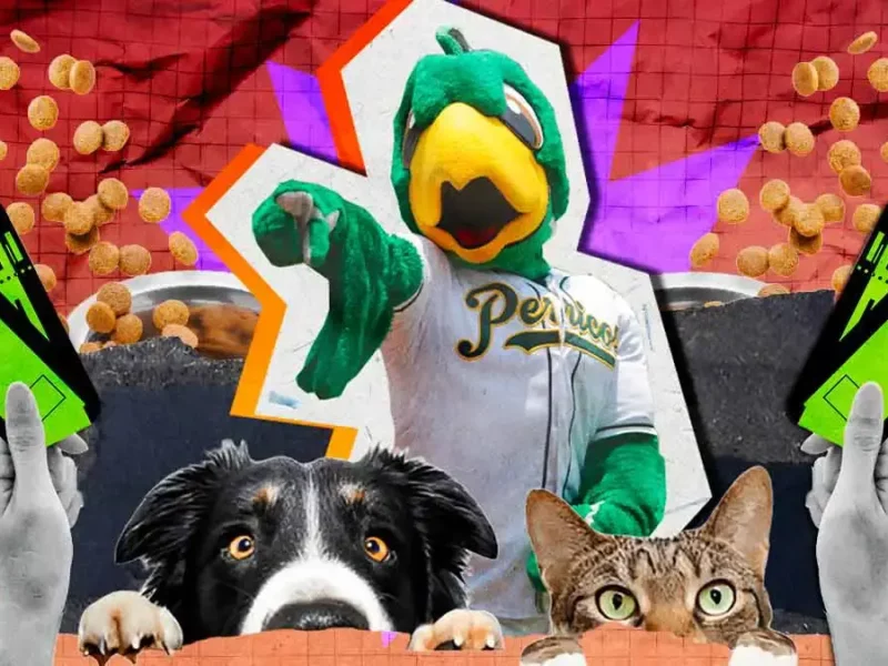 Pericos de Puebla regala acceso doble a cambio de alimento para mascotas